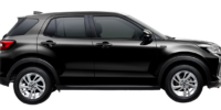 Black Mica Metallic